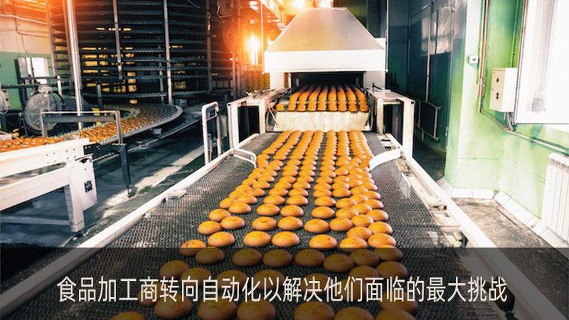 食品生产线选购：如何规避误区，确保高效生产