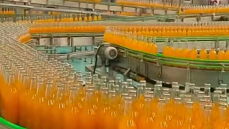 食品输送机参数怎么看